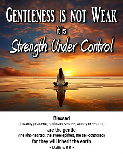 'Gentleness is Not Weak' Poster Design