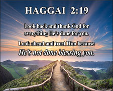 'Haggai 2:19' Poster Design