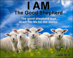 'I AM the Good Shepherd' Poster Design 'I AM the Good Shepherd' Poster Design