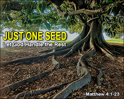 'Just One Seed' Poster Design 'Just One Seed' Poster Design
