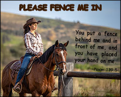 'Please Fence Me In' Poster Design