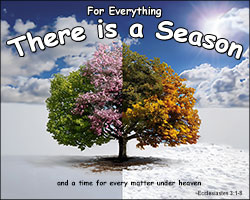 'There is a Season' Poster Design 'There is a Season' Poster Design