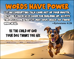 'Words Have Power' Design 'Words Have Power' Design