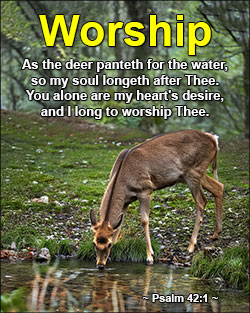 'Worship' Design 'Worship' Design